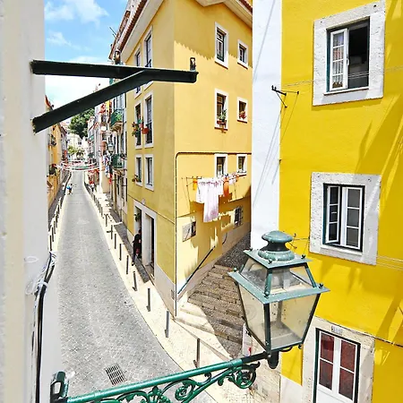 Suprema Loft Ii *